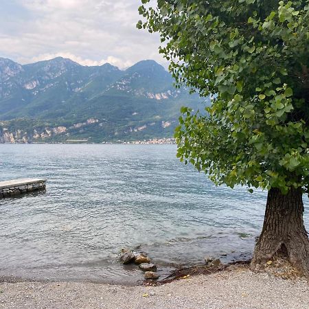 Al Cottage Oliveto Lario Zewnętrze zdjęcie